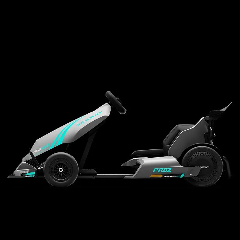 Segway GoKarts Pro 2