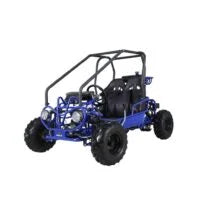 Taotao GK110 Kids Gas Go Kart Dune Buggys.