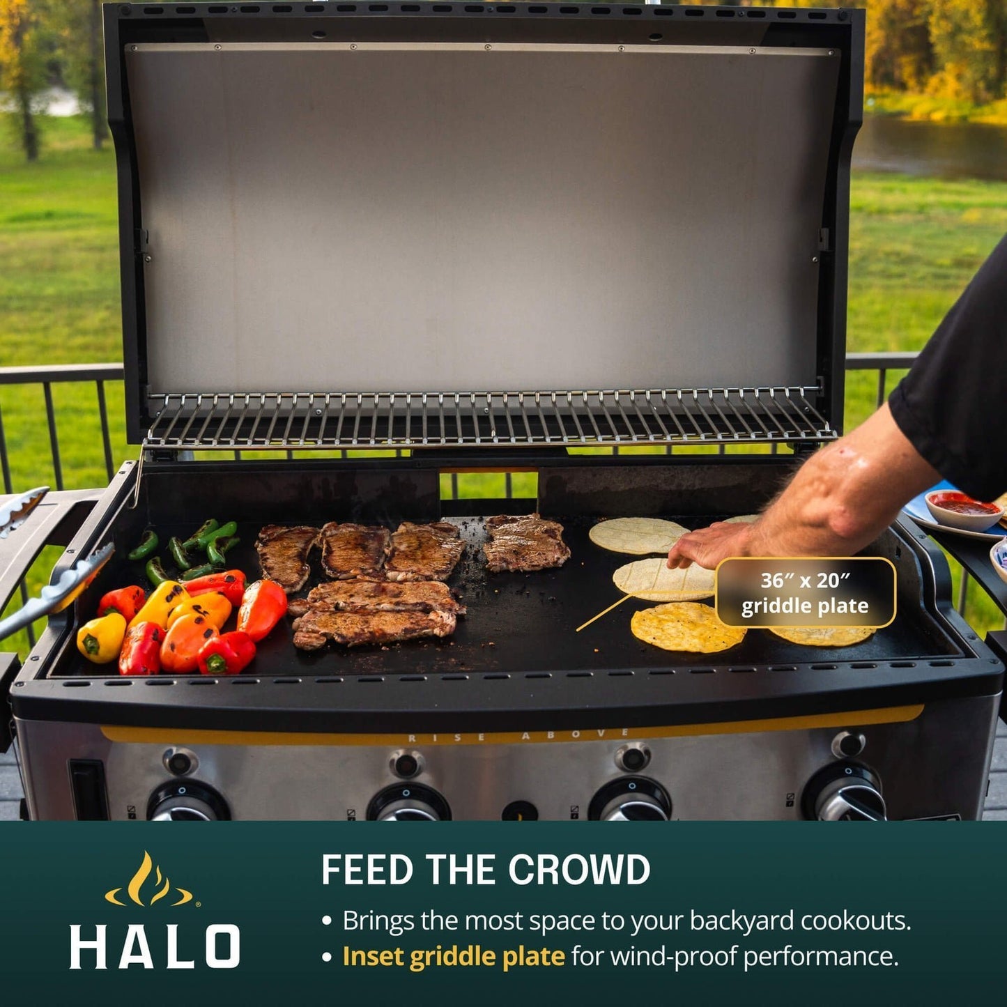 Halo Elite4B Outdoor Griddle | Dual Zone Burner System | Wind-Proof & Wall-to-Wall Heat | Natural Gas Compatible | Up to 750°F | 5-Year Warranty | 10