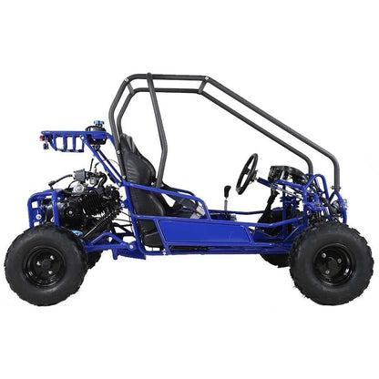 Taotao GK110 Kids Gas Go Kart Dune Buggys.