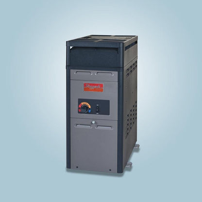Raypak Analog Propane Gas Heater 106,000 BTU 014781