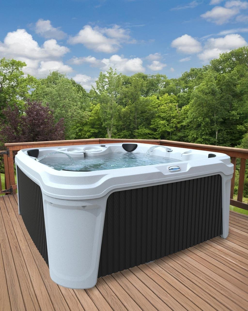 AquaRest DayDream 3500 35-Jet Plug & Play Hot Tub with Ozonator AquaRest Spas
