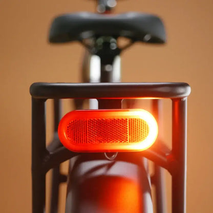 Rad Power Bikes Radsters Trail Electric Off-Road Bikes