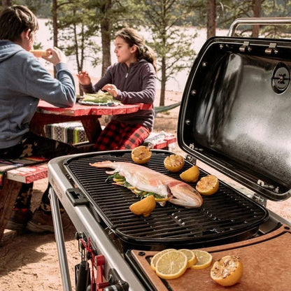 Weber 9010001 Traveler Portable Grill