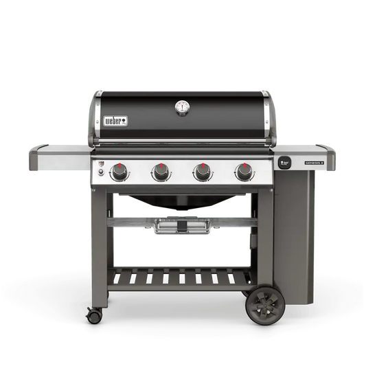 Weber Genesis II E-410 NGs
