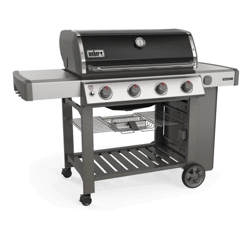 Weber Genesis II E-410 NGs