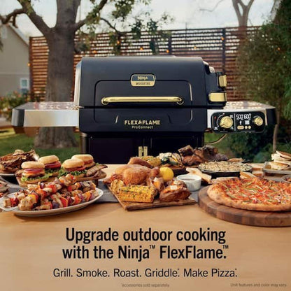 Ninja FlexFlame Grill and Smoker with ProConnect
